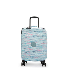 Spontaneous Small Printed Rolling Luggage