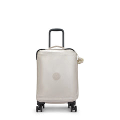 Spontaneous Small Metallic Rolling Luggage