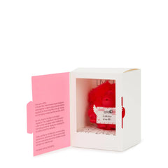 Valentine Letter Monkey Keychain